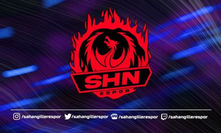 SHN Espor Ekibi Yeni Bir Organizasyon Arıyor!