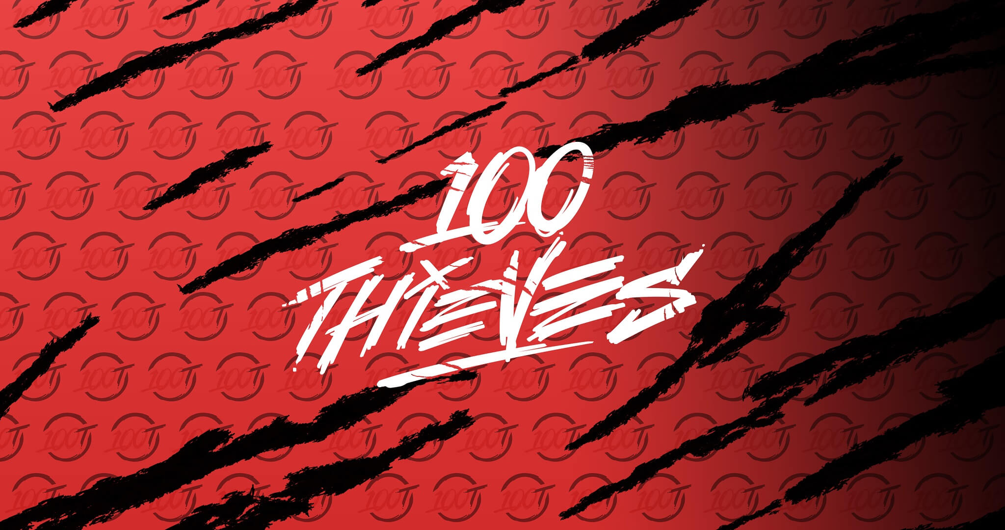 100 thieves steel