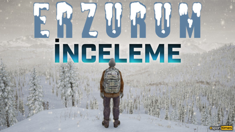 Erzurum İnceleme